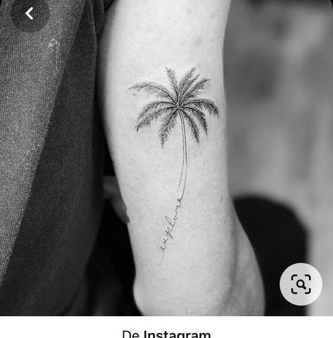 Palm Tree Quote Tattoo, White Palm Tree Tattoo, Palm Tree With Coordinates Tattoo, Best Friend Palm Tree Tattoo, Palm Tree Tattoo With Words, Palm Tree Hip Tattoo, Palm Tree Name Tattoo, Palm Tree Tattoo On Arm, Palm Tree Tattoos For Women On Arm