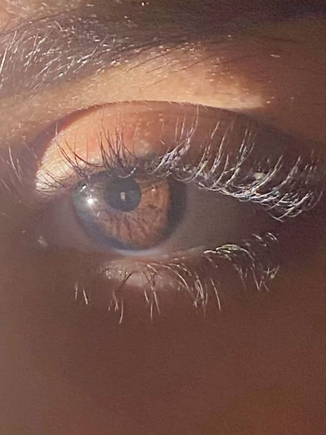 Natural Eyelashes Aesthetic, Eye Color Aesthetic, Chocolate Brown Eyes, Brown Eyes Girl, Creme Aesthetic, Brown Hazel Eyes, High Eyes, Alice Aesthetic, Spy Racers