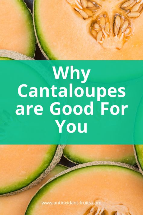 cantaloupe fruit Cantelope Fruit Benefits, Is Cantaloupe Good For You, Melon Diet, Cantelope Melon Recipes, Cantaloupe Health Benefits, Cantaloupe Benefits Nutrition, Cantaloupe Juice Benefits, Benefits Of Cantaloupe, Cantaloupe Water