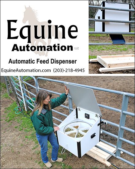 Automatic Livestock Feeder, Automatic Horse Feeder Diy, Automatic Goat Feeder, Automatic Horse Feeder, Diy Horse Feeder, Horse Feeder Ideas, Horse Feeder Diy, Miniature Horse Driving, Horse Feed Storage