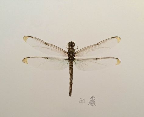 Dragonfly-1 Watercolour And Ink, The Nest, Watercolor And Ink, Ink Drawing, Watercolor Art, Insects, Gems, Drawings, Blue