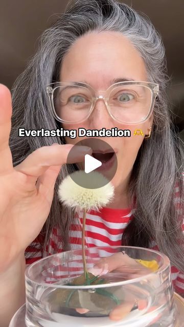 Mrs Clare Hooper on Instagram: "Don’t let those dandelion wishes fly away! Why not capture them in a jar with this simple DIY, isn’t this one perfect for little and big kids!? 😜 

TopTips : 

1) let the moisture out daily to stop it going mouldy, or use something like rice/silica sachet 

2) Some say to spray with hairspray lightly to to keep it in place (I won’t keep mine past the summer) 

I’m desperate to squeeze in the time to make more dandelion crafts before we head to Sweden for a wedding this weekend, or do you think they will still be here next week??? 

Clare XO 

#dandelionwishescometrue #terrariumlife #craftgram #dandelionmagic #terrariumvibes #diyfun" Dandelion Crafts, Dandelion Art, Dandelion Wishes, Dandelion Wish, In A Jar, Simple Diy, Arts And Crafts For Kids, Next Week, Big Kids