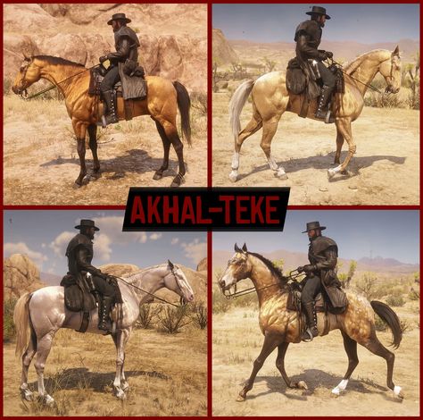 Realistic Exotic Horses at Red Dead Redemption 2 Nexus - Mods and community Rdr Horses, Red Dead Outfits, Rdr2 Photography, Rdo Outfits, Rdr2 Online, Red Dead Redemption 3, Lee Williams, Abc Art, Red Redemption 2