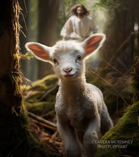 Kevin Carden, Lion And Lamb, Jesus Artwork, Jesus Christ Artwork, Jesus Christ Art, Pictures Of Jesus Christ, Ayat Alkitab, Jesus Painting, Jesus Christ Images