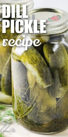 This dill pickle recipe for canning makes the best homemade, preservative-free pickles ever. In this easy recipe, pickling cukes are sliced into spears, packed into canning jars, and immersed in an easy brine made with kosher salt, vinegar, garlic, and fresh dill weed and dill seeds. Pickles can be stored for months, to enjoy all year long. Enjoy as is, or dice into relish or slice into chips. #dillpicklerecipeforcanning #canneddillpicklerecipe #ourzestylife #dillpicklerecipecanning Dill Pickle Brine Recipe, Pickles For Canning, Dill Pickle Juice Recipe, Dill Pickles Homemade, Best Dill Pickle Recipe, Easy Dill Pickle Recipe, Make Dill Pickles, Pickle Juice Recipe, Pickles Homemade Easy