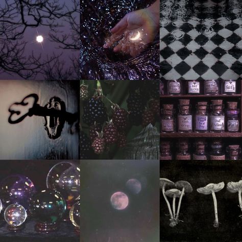 Whimsical, purple, alice in wonderland, witchy. Cyan And Purple Aesthetic, Dark Wonderland Aesthetic, Alice In Wonderland Moodboard, Purple Witchy Aesthetic, Mood Board Purple, Dark Whimsical Aesthetic, Witchy Goth Aesthetic, Wonderland Core, Purple Pirate