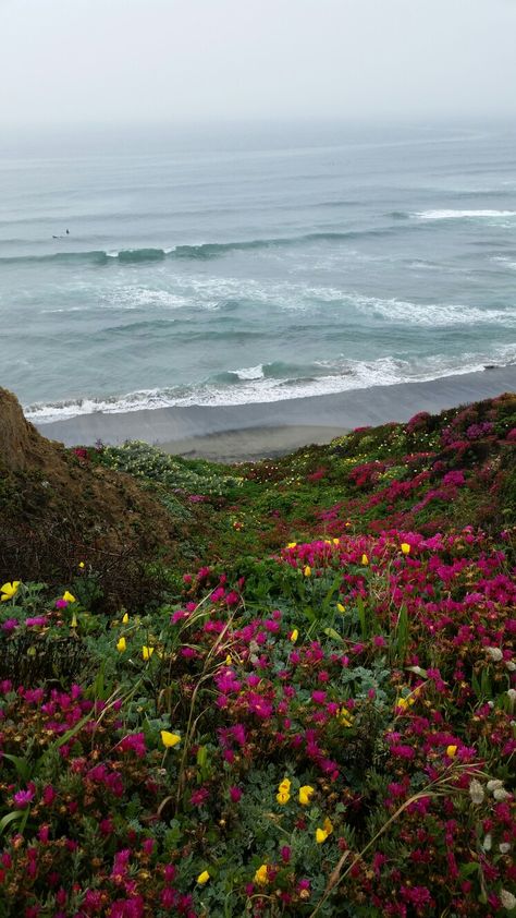 Sonoma County Aesthetic, Sonoma California Aesthetic, Sonoma Aesthetic, Ranch Inspiration, Sea Ranch California, California Farm, Marin County California, Quotes Background, Mendocino Coast