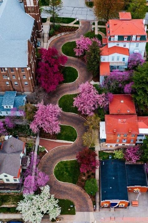 I grew up in Iowa | Snake Alley Burlington, Iowa | Facebook Burlington Iowa, Ripley Believe It Or Not, Lombard Street, Vacation Destinations, Design Style, Iowa, Growing Up, Built In, Building