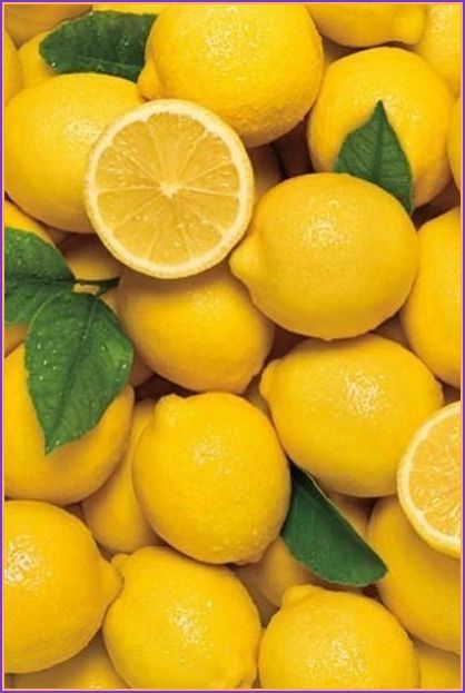 How to lose weight for women over 40? Weight loss for women Freezing Lemons, Lemon Water Health Benefits, Lemon Juice Benefits, Water Health Benefits, Hot Lemon Water, Lemon Health Benefits, Frozen Lemon, Warm Lemon Water, Lemon Water Benefits