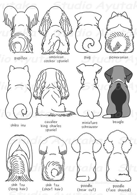 Schnauzer Tattoo Silhouettes, Dog Eating Drawing, Schnauzer Outline, Dog Silhouette Tattoo, Dog Outline Drawing, Dog Bookmarks, Dog Doodles, Dog Collage, Dog Caricature