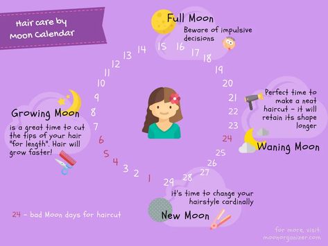 Haircuts lunar calendar - best days depending on Moon Moon Phases Meaning, White Boy Hairstyle, Avatar Aesthetic, Witch Board, Moon Hair, Chart Infographic, Hair Magic, Calendar Pictures, Spiritual Stuff