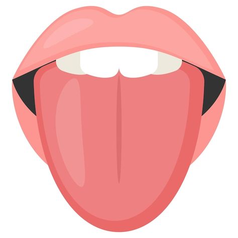 Taste buds on human tongue and teeth con... | Premium Vector #Freepik #vector #anatomy #membrane #biology #medical-science Tongue Images, Human Tongue, Cvc Words Kindergarten, Coordinates Outfits, Creative Wall Decor, Organ System, Vintage Borders, Stomach Problems, Eye Makeup Art