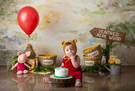 Pooh Bear Cake Smash, Pooh Bear Photo Shoot, Winnie The Pooh Photo Shoot Photography, Pooh Bear Smash Cake, Winnie The Pooh Photo Shoot, Winnie The Pooh Cake Smash, Cake Smash Theme, Winnie The Pooh Cake, Pooh Party