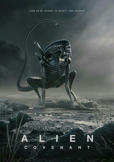 Ridley Scott Alien, Alien Movie Poster, Giger Alien, Alien Movie, Poster Competition, Alien Artwork, Art Alien, 20th Century Studios, Arte Alien