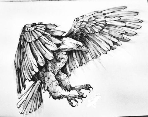 Tattoos Eagle, Eagle Sketch, Fenrir Tattoo, Ocean Sleeve, Rabe Tattoo, Tattoo Black And White, Vogel Tattoo, Black Art Tattoo, Eagle Drawing