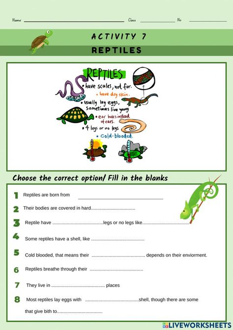 Reptile group worksheet Classifying Animals, Vertebrates And Invertebrates, Animal Classification, Animal Worksheets, Science Crafts, Animal Science, Kindergarten Science, Education Poster, Science Lessons