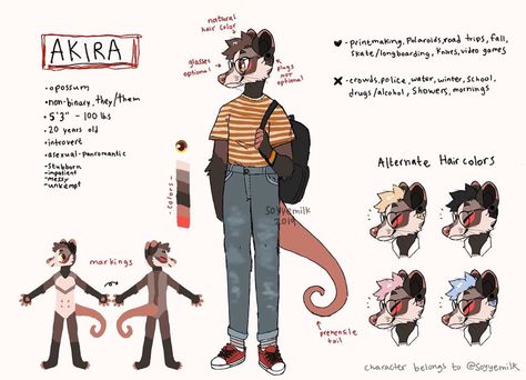 Sona Ref Sheet, Ref Sheet, Taking A Break, 20 Years Old, Memes