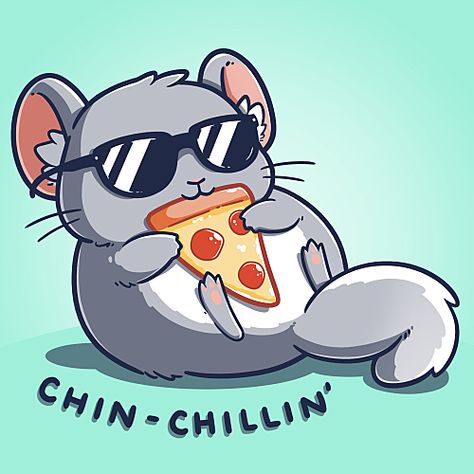 Chinchilla Wallpaper, Chinchilla Cute, Cute Chinchilla, Chinchilla Pet, Pencil Sketches Easy, Tiktok Pfp, Cute Animal Quotes, Nerdy Shirts, Slice Of Pizza