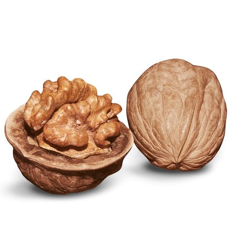 Includes two walnut trees — Stark® Champion™ English and Lake English. Flavored Nuts, English Walnut, Healthy Nuts, Cholesterol Remedies, Cholesterol Lowering Foods, Walnut Tree, Cholesterol Diet, Organic Fruit, Lower Cholesterol