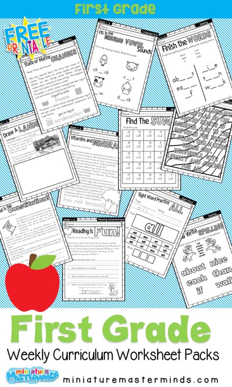 Free Printable First Grade Curriculum Book ⋆ Miniature Masterminds Home School Curriculum, First Grade Books, Summer School Activities, First Grade Curriculum, First Grade Lessons, Free Homeschool Curriculum, First Grade Worksheets, First Grade Activities, Teaching First Grade