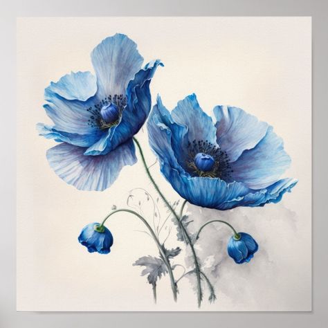 Blue Poppy Flowers Art Print Poster Poppy Artist, Poppy Flower Painting, Poppy Painting, Blue Poppy, Poppy Flowers, Floral Collection, Flowers Art, Art Print Poster, Mini Paintings