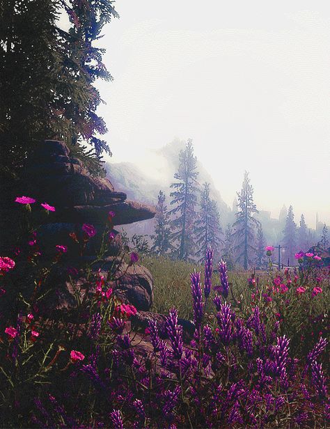 Fairy Scene, Forest Meadow, Skyrim Art, Elder Scrolls Art, Spring Pictures, My Fantasy World, Misty Forest, Elder Scrolls, Nature Aesthetic