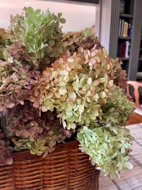 Dried Hydrangeas Centerpiece, Dry Hydrangeas, Cozy Crafts, Decoupage Pumpkins, Summer Table Decorations, Fall Hydrangea, Pumpkin Planter, Hydrangea Centerpiece, Pumpkin Topiary