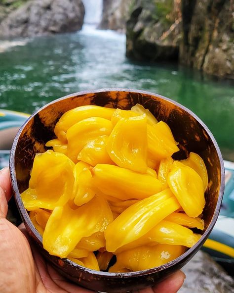 BRB escaping reality w/ Jackfruit Bulbs✨ Find them in-store or online at PitayaFoods.com Thanks you @ontheedgetours_ja 📸 #Ripe #Jackfruit #WealthInHealth #NonGMO #USDAOrganic #JackfruitCubes #JackfruitBulbs #Fruit #Superfruit #Smoothie #SmoothieBowl #JackfruitPieces Ripe Jackfruit, Pitaya Fruit, Escaping Reality, Cake Candy, Dried Fruits, Usda Organic, Smoothie Bowl, Non Gmo, Day To Day