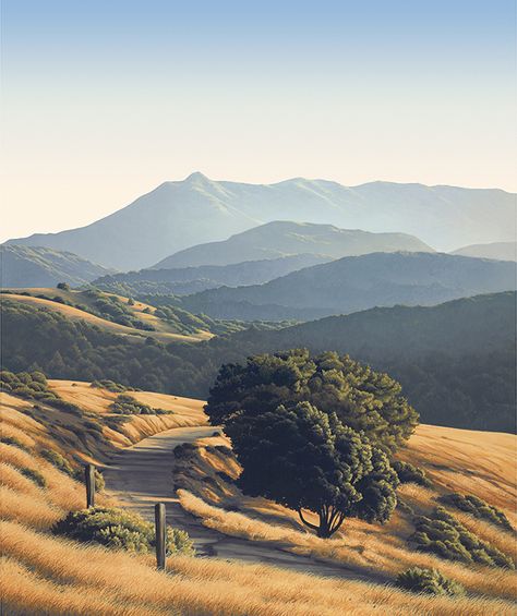 Hill Landscape Photography, Hill Drawing Landscape, California Landscape Photography, California Landscape Paintings, Brown Mountains, Landscape Hill, Hill Painting, California Hills, Mount Tamalpais