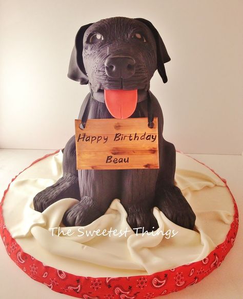 y litterellydelicious Black Lab Cake, Labrador Cake, Lab Cake, Puppy Cakes, Black Lab Puppy, Lab Retriever, Cake Pics, Bday Pics, Puppy Cake