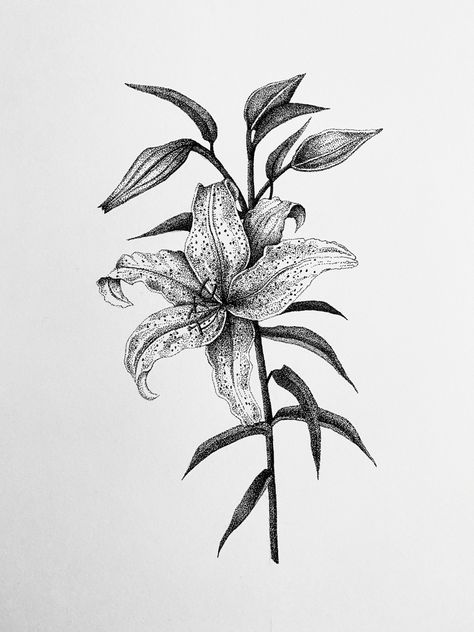 Ink Drawings Nature, Stippling Nature Art, Stippled Flowers, Stipple Flower Tattoo, Ink Illustrations Flowers, Tattoo Stippling, Flower Stippling, Lily Illustration, Pointalism Tattoos