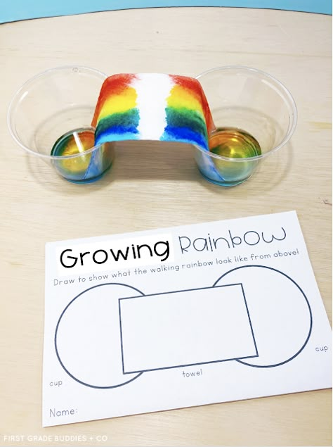 Spring Science Experiments, Weather Activities Preschool, Rainbow Lessons, Vetenskapliga Experiment, Rainbow Experiment, Rainbow Activities, Weather Science, Diy Paper Flowers, Weather Theme