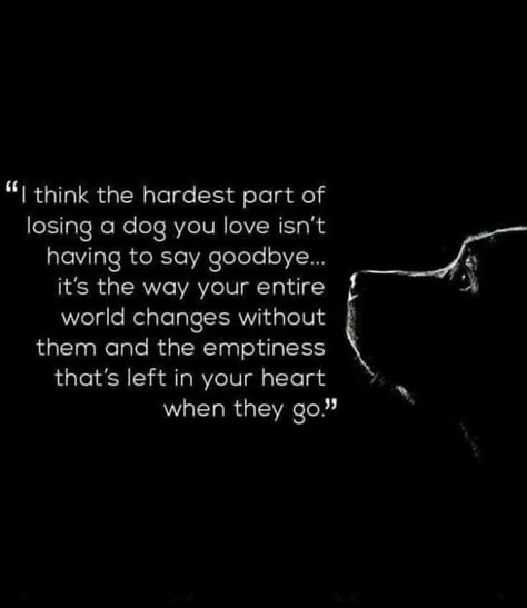 Losing A Dog Quotes, Losing A Pet Quotes, Pet Quotes Dog, Miss My Dog, Dog Poems, Dogs Quotes, Pet Quotes, Dog Quotes Love, Heaven Quotes