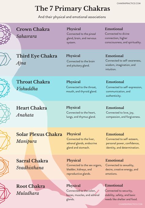 Chakras Explained, Chakra Healing Meditation, Chakra Health, Root Chakra Healing, Chakra Affirmations, Chakra System, Energy Healing Spirituality, Chakra Yoga, Life Force Energy