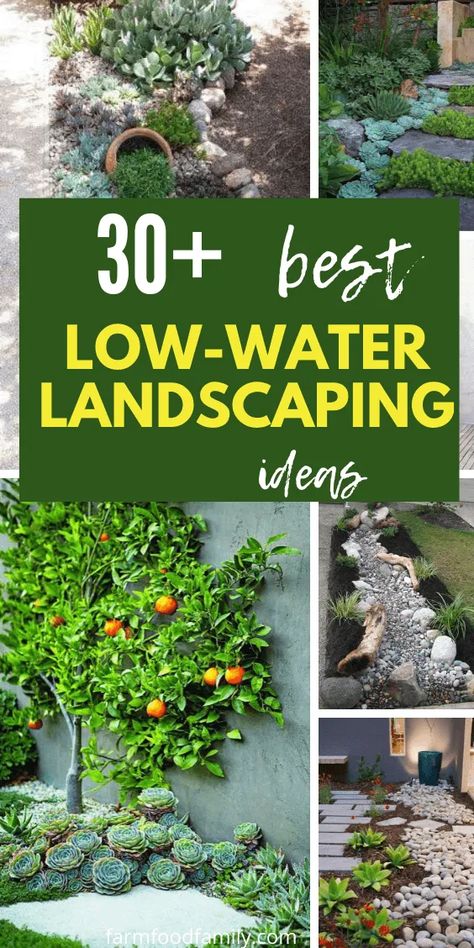 Water Resistant Landscaping, Water Smart Landscaping Front Yards, Landscape Ideas Beach, Waterless Garden Ideas, Water Garden Ideas Landscaping, Water Wise Garden, Dry Riverbed Landscaping Front Yard, Low Water Landscaping Front Yard, Water Saving Landscape