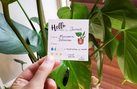 Plant Care Tags, Plant Drawings, Tags For Gifts, Monthly Printable, Plant Care Instructions, Plant Tags, Garden Guide, Plant Drawing, Monstera Deliciosa