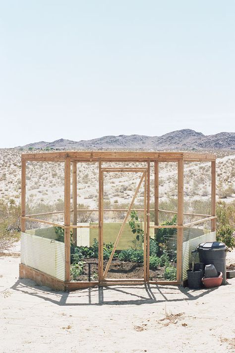 Wilder QuarterlyThe Grow Shack - yerinmok Product Still Life, Greenhouse Farming, Desert Living, Studio Visit, Uh Huh, Desert Garden, Desert Homes, Architecture Interiors, Desert Landscaping