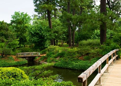 Houston Parks, Houston Garden, Hermann Park, Houston Apartment, Easy Poses, Landscaped Garden, City Parks, Natural Ecosystem, Poses Couple