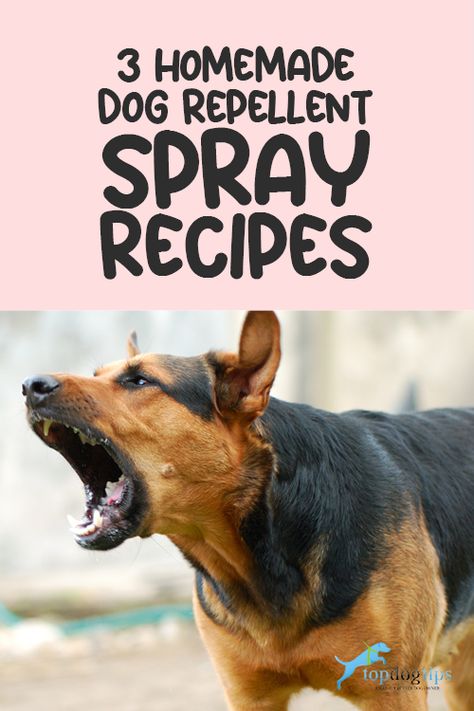 Dog Repellent Spray, Dog Repellent, Taco Salad Doritos, Dogs Products, Dog Spray, Barking Dog, Dog Behavior Problems, Basic Dog Training, Dog Potty Training