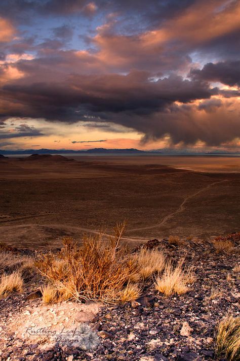 Desert Storm Aesthetic, Storm In The Desert, Desert Home Aesthetic, Desert Witch Aesthetic, Dark Desert Aesthetic, Desert Gothic, Southwest Gothic, Desert Witch, Cowboy Core