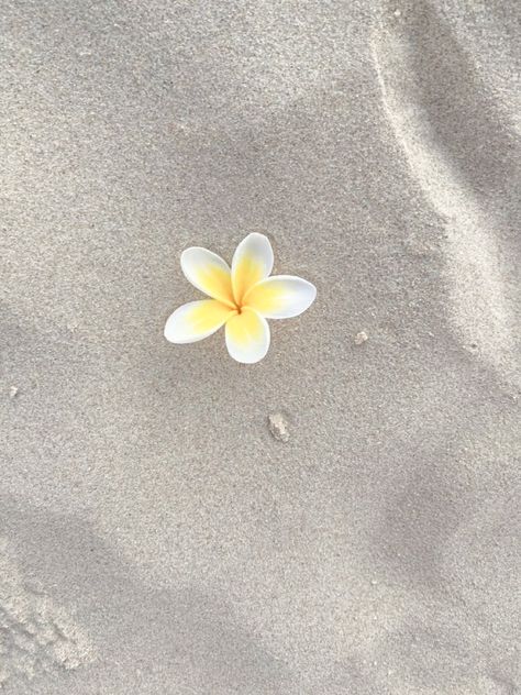 Water Pose, Beach Dump, Black And White Wallpaper Iphone, Frangipani Flower, Aesthetic Objects, Jelly Wallpaper, Pretty Beach, Soft Wallpaper, Apple Watch Wallpaper