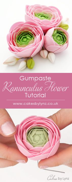 Ranunculus Flower tutorial Cake Flowers Tutorial, Sugarpaste Flowers, Gum Paste Flowers Tutorials, Sugar Paste Flowers, Ranunculus Flower, Fondant Flower Tutorial, Sugar Flowers Tutorial, Buttercup Flower, Gumpaste Flowers