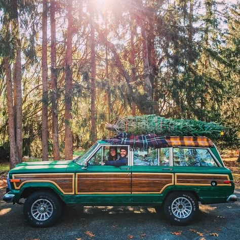 @SarahKJP and I have just adopted a 7' Douglas Fir and are bringing him to his new home Brown Jeep, 1969 Dodge Charger, Combi Volkswagen, John Wilson, Old Jeep, Bmw I3, Jeep Wagoneer, Kid Friendly Travel Destinations, Bmw I8