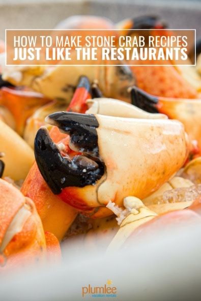 How to enjoy the best Florida Gulf Coast stone crab recipes in your Indian Rocks Beach rental and the restaurants that serve them locally. Stone Crab Recipes, Rock Crab, Baked Brisket, Crab Trap, Seafood Tower, Crab Meat Recipes, Stone Crab, Florida Gulf Coast, Beach Rental