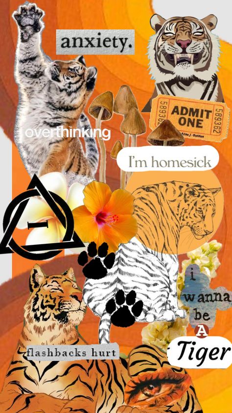 Tigers ❤️❤️ #therian #tiger #orange Tiger Orange, Tiger Wallpaper, Disney Collage, Silly Pictures, Create Collage, Quote Aesthetic, Pretty Cool, Creative Play, Aesthetic Art