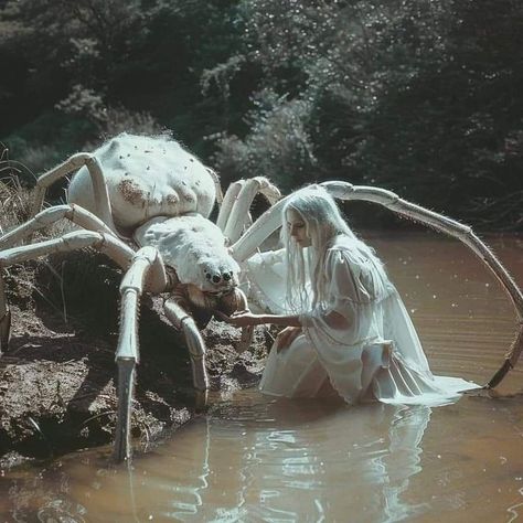 Giant Spider Art, Folk Horror Aesthetic, Creepy Nature, Gotik Tattoo, Braided Hairstyles For Men, Body Horror, Creepy Core, Creepy Spider, Arte Peculiar