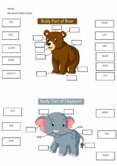 Parts of the body Language: English Grade/level: 2 School subject: English as a Second Language (ESL) Main content: Animals Body Parts Other contents: animals Animal Body Parts Worksheet, Animal Worksheets For Kids, Animals Worksheets For Kids, Parts Of Animals, Body Parts Worksheet, Body Parts For Kids, Animals Worksheet, Animal Body Parts, English Activities For Kids