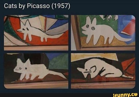 Cats by Picasso (1957) – popular memes on the site iFunny.co #animals #animalsnature #picasso #art #notmyart #feature #repub #funny #cats #pic Funny Ferrets, Cat Ownership, Bristol Board, Owning A Cat, The Revenant, Wholesome Memes, Warm Blankets, Cat Pin, Popular Memes