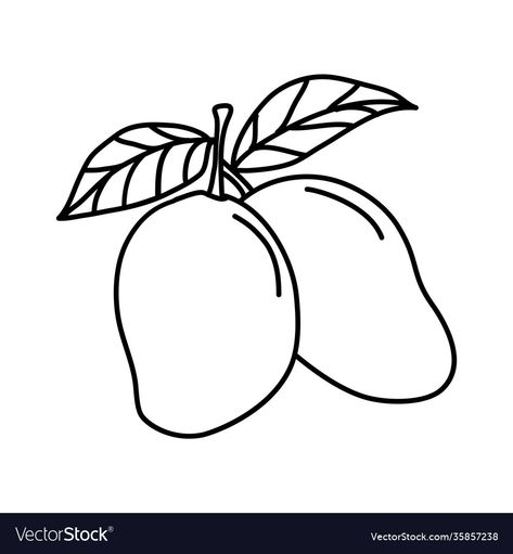 Mango Outline, Mango Vector, Fruit Icons, Sign Logo, Mango Fruit, Sign Design, Transparent Png, Vector Icons, Vector Design