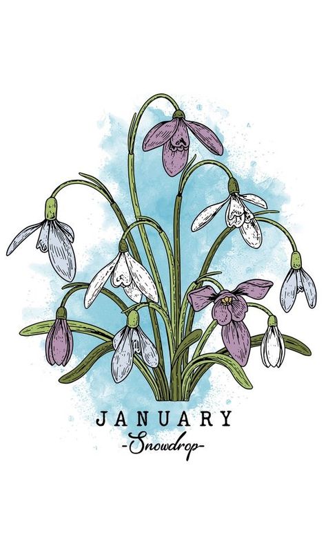 January Flower, Bullet Journal Month, Desain Buklet, Gothic Wallpaper, Flower Art Drawing, Bullet Journal Themes, Bullet Journal Art, Graphic Tshirt Design, Journal Themes